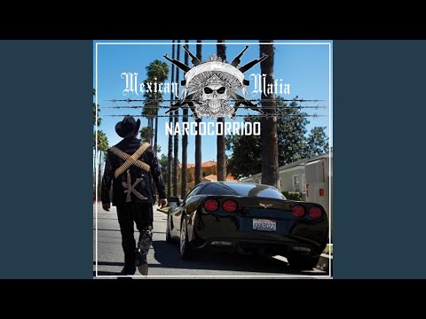 Relatos De Un Guacho