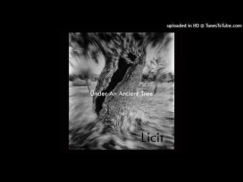 Licit - Frantically Readjusting (SUB_tl 079)