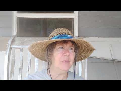 Older people complaining about wild younger folks