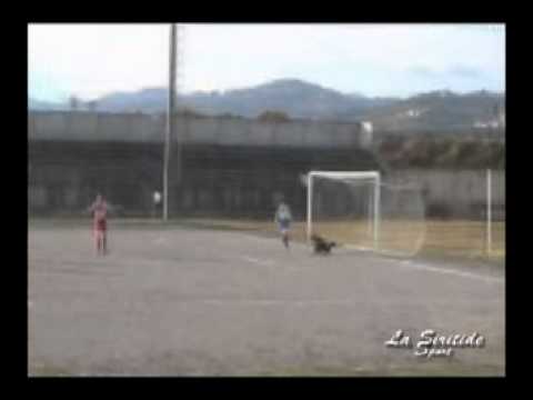 05/11/2006 - Calcio: Seconda Cat.gir.C: Real Senise-Chiaromonte 0-0