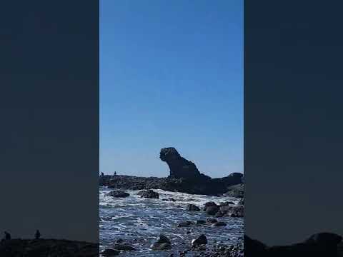 El amor triunfa en El Tunco beach, vista espectacular, La Libertad El Salvador