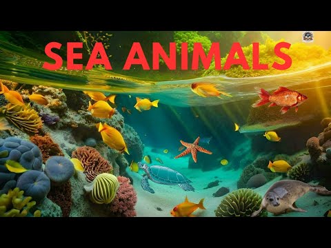Sea animals | water animals | ocean animals | aquatic animals for kids | learn sea animals || 