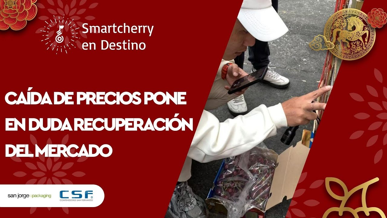 Pese a alerta por calidad, cereza de buena condición sigue marcando la diferencia con mejor precio