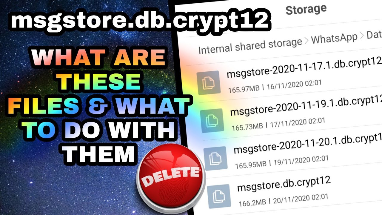 msgstore.db.crypt12 WhatsApp Database Files - How to Delete & Make Space | The Indian Freelancer