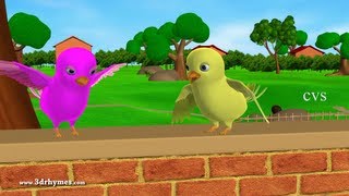 Two little dicky birds - 3D Animation English Nurs