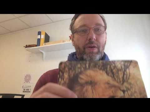 Musiklektion för Grundsärskolan: Vokalkort