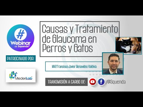 Causas y Tratamiento de Glaucoma en Perros y Gatos - MVZ Francisco Javier Benavides Valdivia