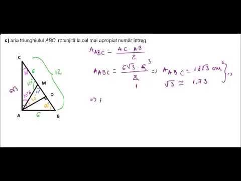 Clasa a VIII-a - Test initial 1 - partea a IX-a