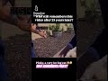 Who Remembers Pinky The Cat From 25 Years Ago AnimalShelter Pinky TrentBedding Cat Catvideos