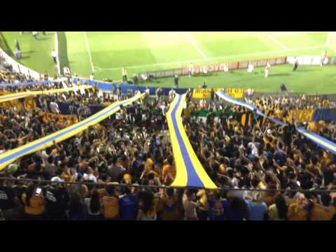 "El amor" Barra: Libres y Lokos &bull; Club: Tigres