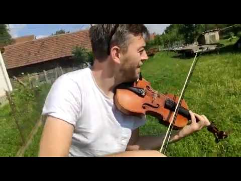 Raskokodakana Violina // Chicken Violin