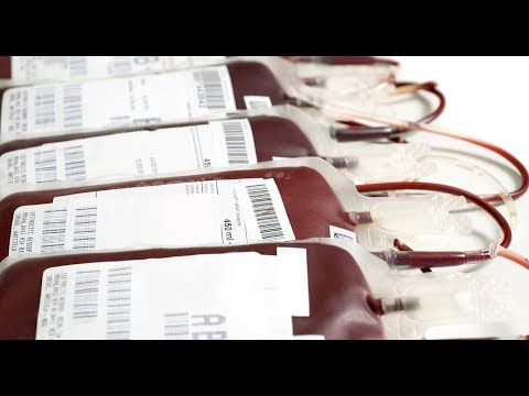 Gut bacteria provide key to making universal blood (video)