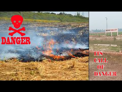 MARINE City park illegal Connection