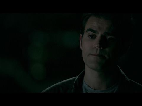 The Vampire Diaries: 8x05 - Elena and Tyler's memories and goodbye [HD]