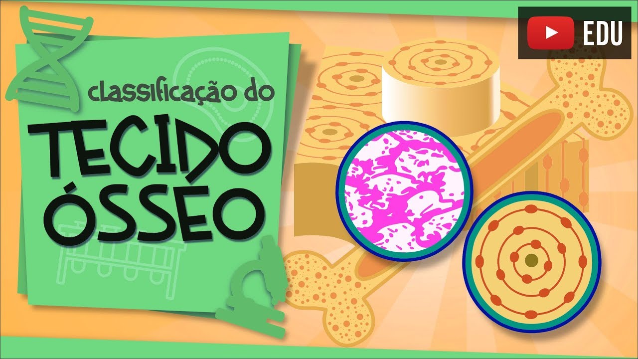 Tecido Ósseo - e sua classificação