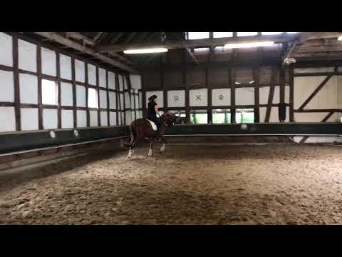 Scuderia/Londonderry 3 Jahre.