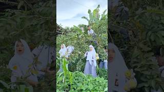 Download lagu Murid2 gak ada dikelas taunya pada ngambil jambu orang😱 #comedy #funny mp3