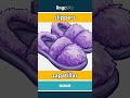 slippers - zapatillas video thumbnail