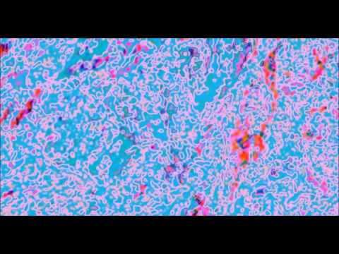 Really Something - Hector Gachan