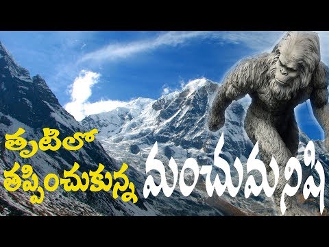 Yeti I Secrets Of The Abominable SnowMan I In Himalayas