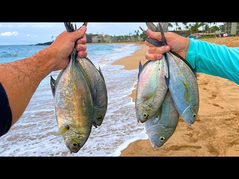 Loading the Boat with Tasty Hawaiian Fish | 1 Hour Livestream!