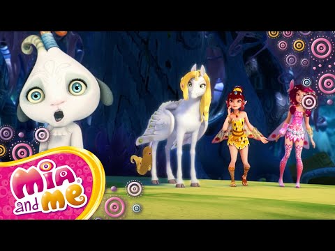 Phuddle erkennt, dass sie in den dunklen Wald gehen müssen! - Mia and me - Staffel 2🦄🌈