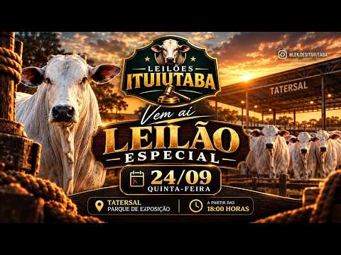 🔥 AO VIVO: LEILÃO ESPECIAL - ITUIUTABA LEILÕES MG