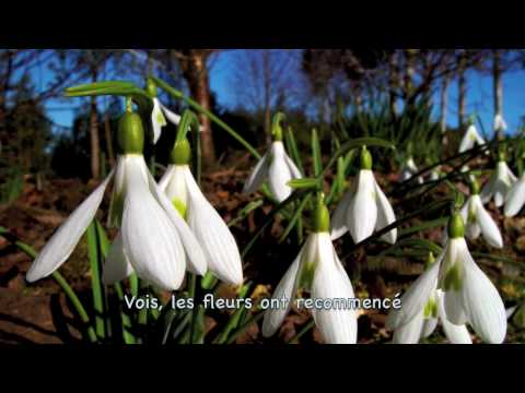 Hymne au printemps - Félix Leclerc