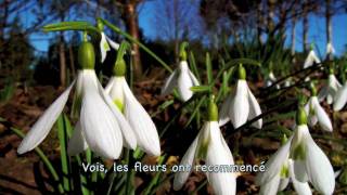 Hymne au printemps - Félix Leclerc