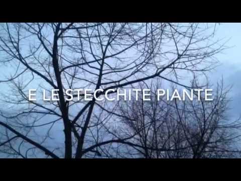 Novembre - Giovanni Pascoli