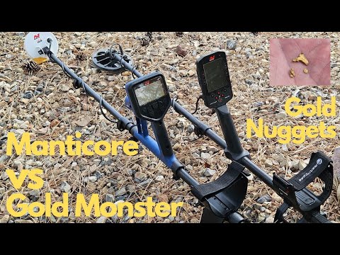 Minelab Gold Monster 2000 vs Manticore on buried Gold Nuggets