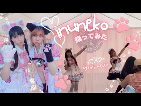 【Rina + Coco】WASUTA - inu neko dance cover |「いぬねこ。青春真っ盛り」| Dreamland Maid Cafe at OC Japan Fair 2025