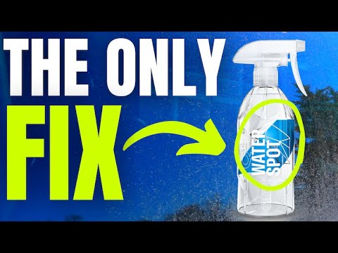 The Most Difficult To Remove Residue On Car Paint | Aphid Honeydew