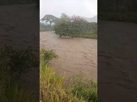 Guanacaste Se reporta fuerte crecida esto en el río Cañas .#precaucion Personas cercanas al rio