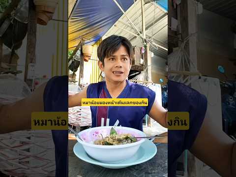 หมาน้อยมองหน้าเต้นแลกของกินถ้าทำได้เอาไปกินเลย😆 #บังเอิญเจอ #funny  #comedy#การแสดงเท่านั้น