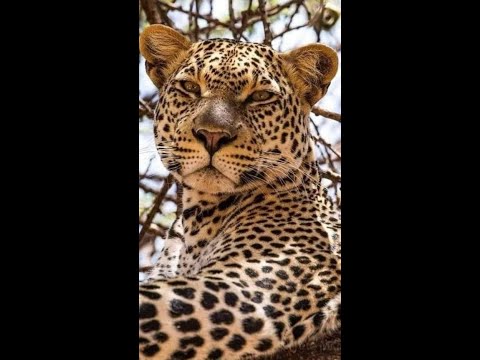 Infectious Unease Radio 15 01 23  &  17  01 23 D&B Dub Jungle Garage Music #1509