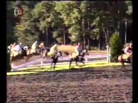 113. Velká pardubická steeplechase - 2003