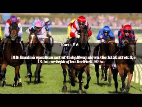 2014 New Zealand Derby Top # 10 Facts