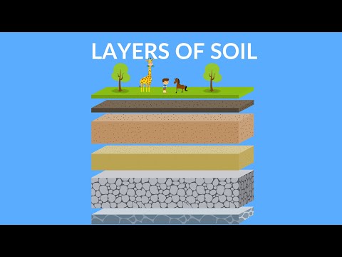 Layers of Soil  | Soil Formation | Video for Kids