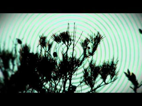 INSINTESI feat. ALESSIA TONDO _ Pizzica di Aradeo (dub version) - [Official Video]