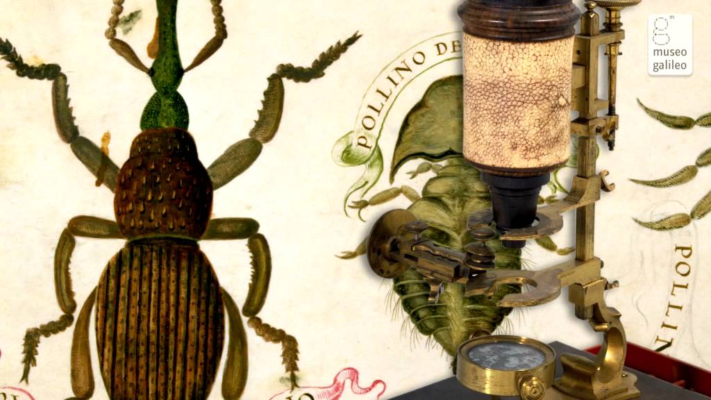 Rooms XV and XVI - Measuring Natural Phenomena