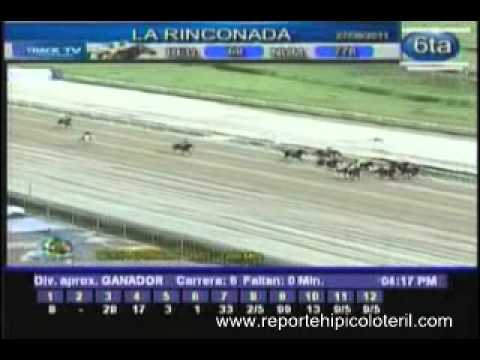 Resumen Sábado 27 de Agosto de 2011 - La Rinconada