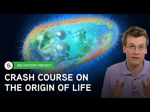 クラッシュコースビッグヒストリー。生命の起源 (Crash Course Big History: The Origin of Life)