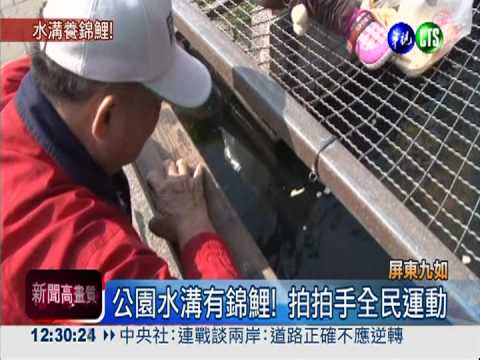 拍拍手鯉魚就來 巴轆公園奇觀!