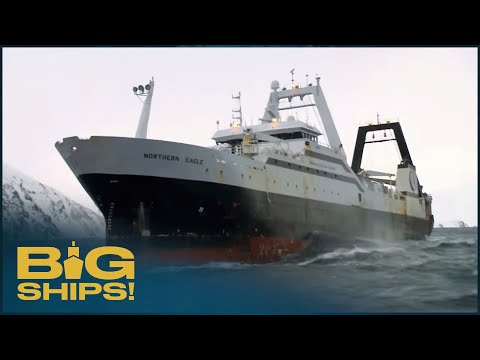 Northern Eagle: The Mega-Trawler Of The Alaskan Fishery