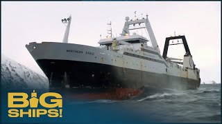 Northern Eagle: The Mega-Trawler Of The Alaskan Fishery MQDEFAULT Thumbnail