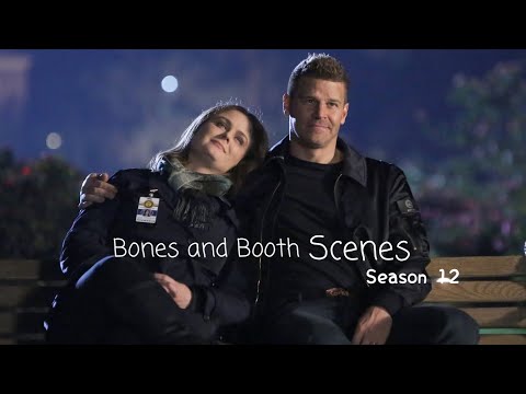 Bones & Booth Scenes (season 12) [1080p]