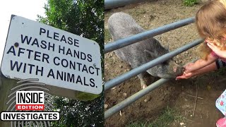 What’s at Petting Zoos That Can Get You Sick
