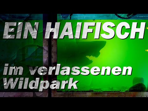 VERLASSENE ORTE VON DENEN DU NICHTS WUSSTEST! #1 WASSERPARK WUHAN; HAIFISCH IM WILDPARK!