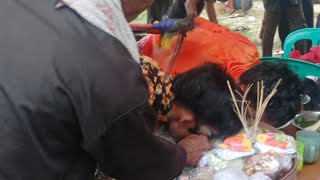 Download lagu Egeg Simer widoro payung purwo sejati #jaranan #viral #fypシ mp3 Download lagu Egeg Simer widoro payung purwo sejati #jaranan #viral #fypシ mp3